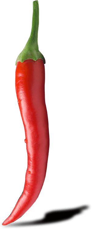 Chili Rot