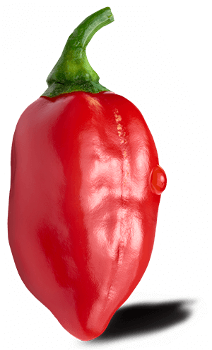 Habanero