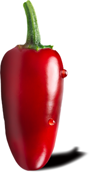  Jalapeño Red