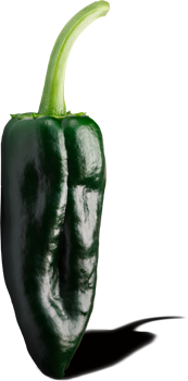 poblano-gruen-chili